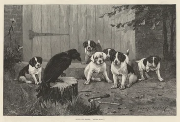 Der Rabe sprach, niemals mehr!